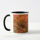 紅葉したイロハモミジ マグカップ (左)