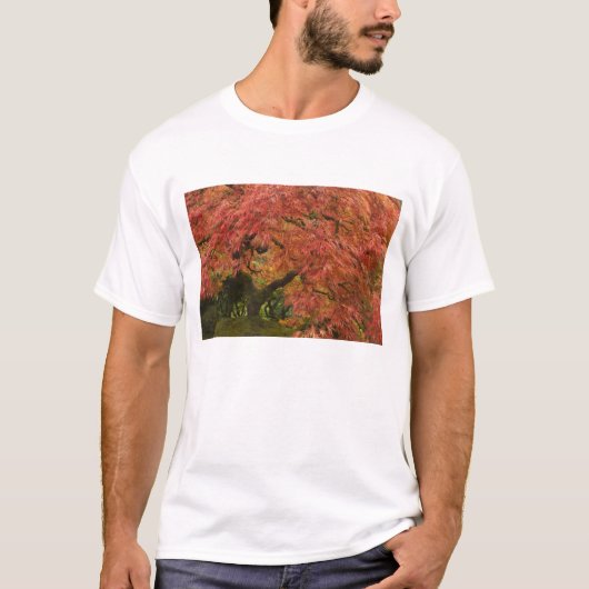 紅葉したイロハモミジ Tシャツ (正面)