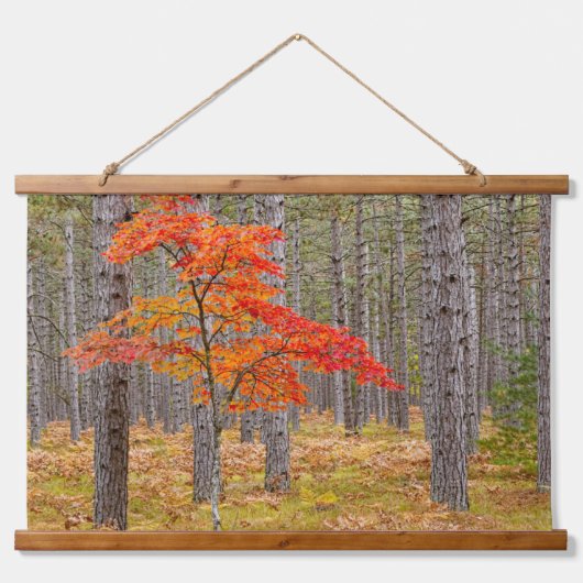 紅葉したカエデの木 吊り下げ型タペストリー (正面)