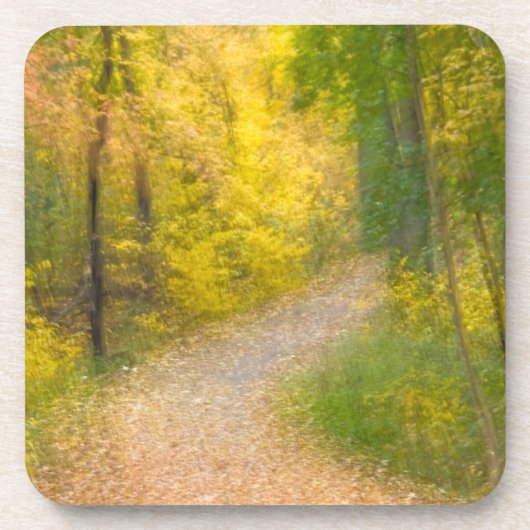 紅葉した木々と落ち葉に覆われた小道 コースター (正面)