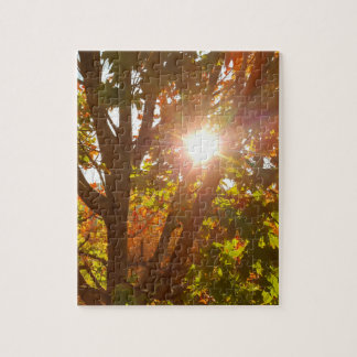 紅葉した木々を通して見る日の出 秋の写真 ジグソーパズル