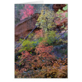 紅葉すべてのまわりに (正面)