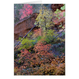 紅葉すべてのまわりに