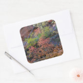 紅葉すべてのまわりに スクエアシール (封筒)