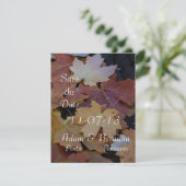 紅葉すべてのまわりに セーブザデート (スタンド正面)