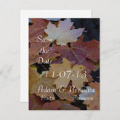 紅葉すべてのまわりに セーブザデート (正面/裏面)