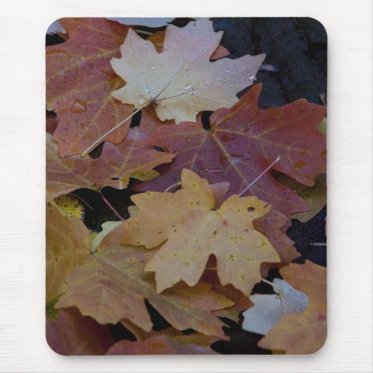 紅葉すべてのまわりに マウスパッド (正面)