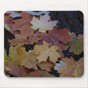 紅葉すべてのまわりに マウスパッド