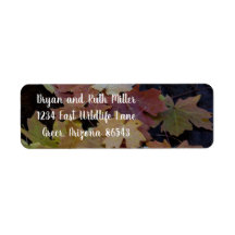 紅葉すべてのまわりに