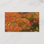 紅葉するイロハモミジ 名刺 (裏面)