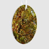 紅葉するカエデの木の緑と黄金色の秋の色 オーナメント (正面)