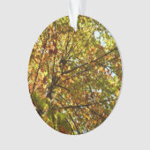 紅葉するカエデの木の緑と黄金色の秋の色 オーナメント (正面)