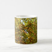 紅葉するカエデの木の緑と黄金色の秋の色 コーヒーマグカップ (中央)