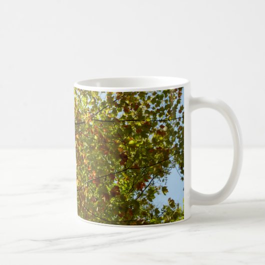 紅葉するカエデの木の緑と黄金色の秋の色 コーヒーマグカップ (右)