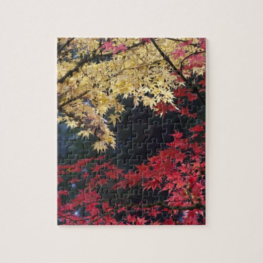 紅葉するカエデの木 ジグソーパズル (縦)