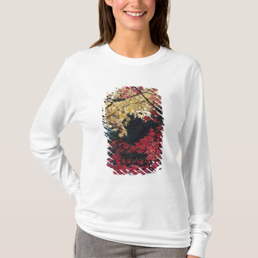 紅葉するカエデの木 Tシャツ (正面)