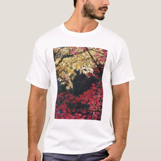 紅葉するカエデの木 Tシャツ (正面)