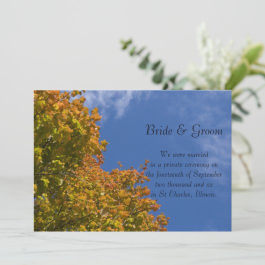 紅葉とブルースカイの結婚の発表 案内状 (スタンド正面)