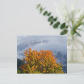 紅葉と山々 ポストカード (スタンド正面)