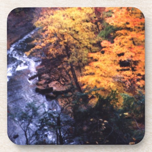 紅葉と川 コースター (正面)