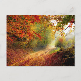 紅葉と木が未舗装道路を覆う ポストカード
