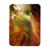 紅葉と木が未舗装道路を覆う マグネット (縦)