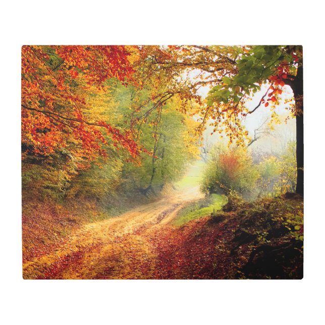 紅葉と木が未舗装道路を覆う メタルプリント (正面)