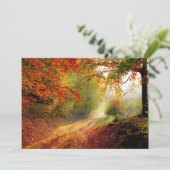 紅葉と木が未舗装道路を覆う 招待状 (スタンド正面)