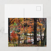 紅葉と橋 / 風景 ポストカード (正面/裏面)