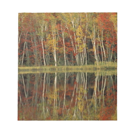 紅葉と白樺の反射; ハイアワサ ノートパッド (正面)