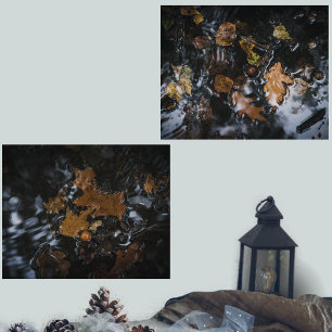 紅葉と神秘的な水の中のドングリ