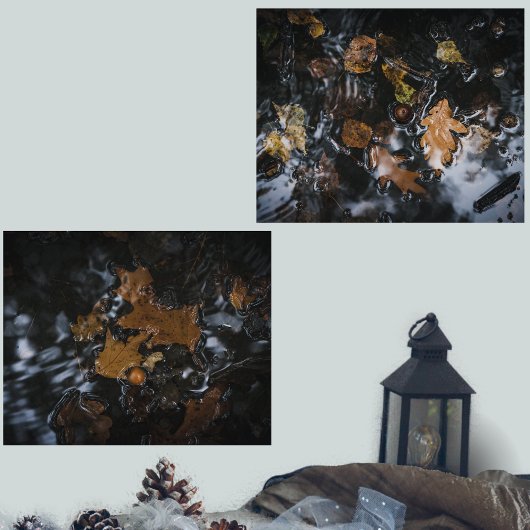 紅葉と神秘的な水の中のドングリ