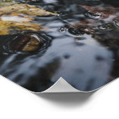 紅葉と神秘的な水の中のドングリ ポスター (角)