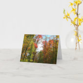 紅葉と青空の秋の自然写真 カード (黄色い花)