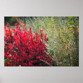 紅葉と青葉 ポスター