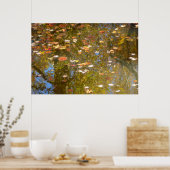 紅葉とGreenbeltでのストリーム反射 ポスター (キッチン)