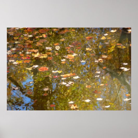 紅葉とGreenbeltでのストリーム反射 ポスター (正面)