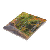 紅葉に覆われた砂利道 タイル (側面)