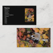 紅葉のかわいいコーギー 名刺 (正面/裏面)