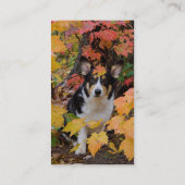 紅葉のかわいいコーギー 名刺 (裏面)