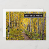 紅葉のアスペン ツリーの森 (正面/裏面)