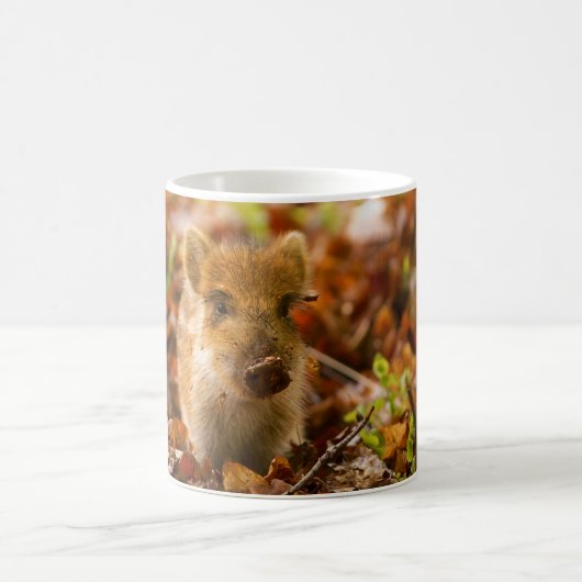 紅葉のイノシシのコブタのSU Scrofa コーヒーマグカップ (中央)