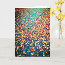 紅葉のウェットフォレストパス