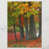 紅葉のカスタムな結婚式メニュー メニュー (裏面)