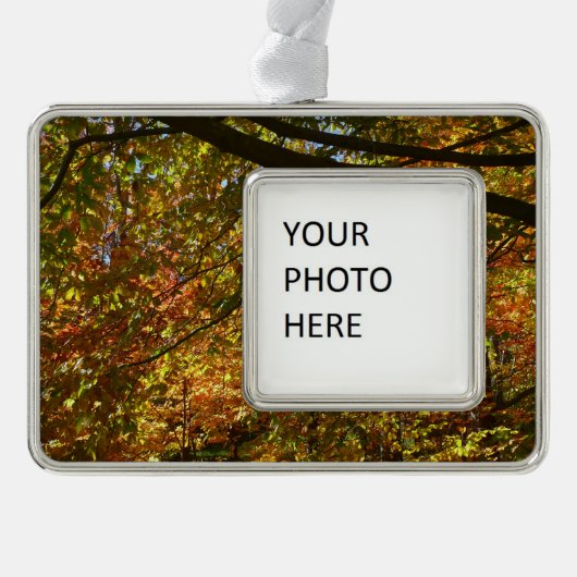 紅葉のキャノピーI黄色の秋自然 シルバープレートフレームオーナメント (正面)