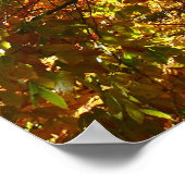 紅葉のキャノピーI黄色の秋自然 ポスター (角)