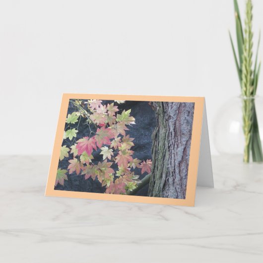 紅葉のグリーティングカード カード (正面)