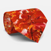 紅葉のタイ2 ネクタイ (ロール)