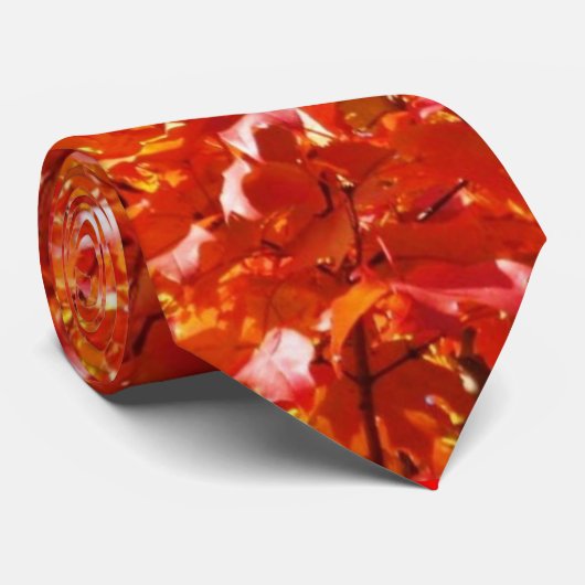 紅葉のタイ2 ネクタイ (ロール)