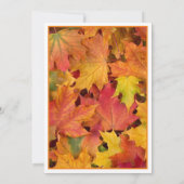 紅葉のパーソナライズ結婚式招待状 招待状 (裏面)